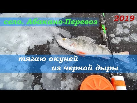 Видео: Зимняя рыбалка на заливах Красноярского водохранилища. Абакано-Перевоз.  06.01.2019г.