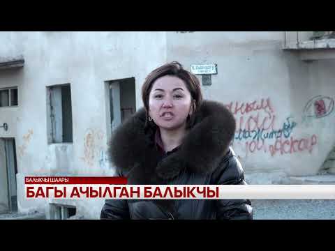 Видео: Багы ачылган Балыкчы