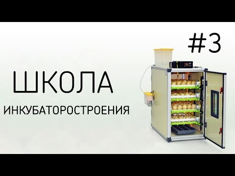Видео: ШКОЛА ИНКУБАТОРОСТРОЕНИЯ №3 (Лотки для инкубаторов и все что нужно о них знать)