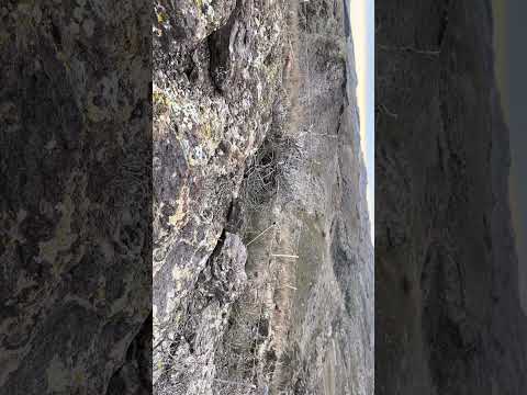 Видео: 13 марта 2025 г.