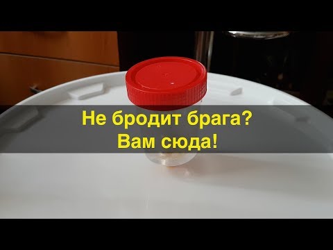 Видео: Брага не бродит? Основные причины, и как исправить.