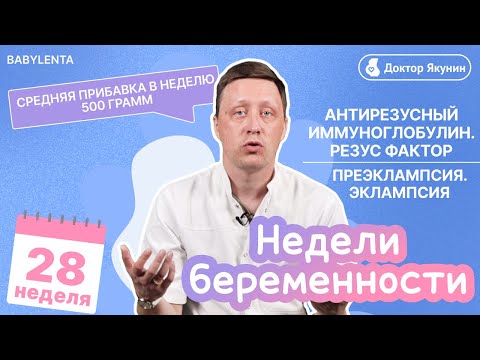 Видео: 28 неделя беременности - УЗИ, что происходит, как выглядит малыш, шевеления, преэклампсия, эклампсия