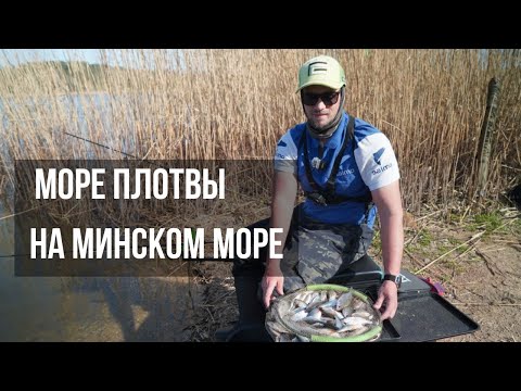 Видео: КЛЮЕТ НА КАЖДОМ ЗАБРОСЕ! Рыбалка на Минском море