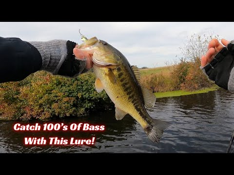 Видео: Эта спиннербейт ловит сотни окуней!