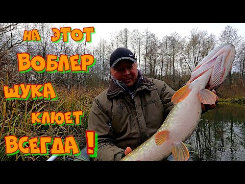 Видео: Ловля ЩУКИ на ВОБЛЕР осенью . ПРАВИЛЬНАЯ проводка ВОБЛЕРА решает ВСЕ !
