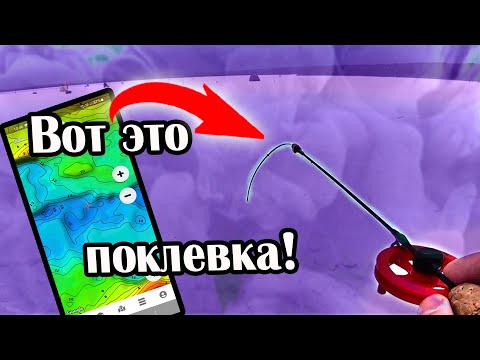 Видео: Плотва чуть не вырвала удочку! Рыбалка с помощью приложения Дапдрифт!