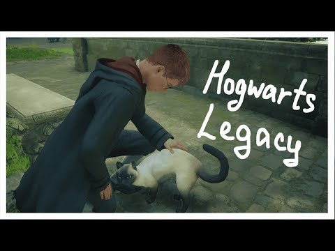 Видео: прохождение ч. ? // Hogwarts Legacy // волшебный зоопарк #shorts