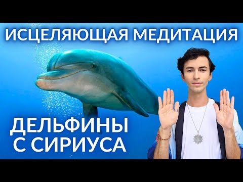 Видео: МЕДИТАЦИЯ ИСЦЕЛЕНИЯ ЭНЕРГИЯМИ ДЕЛЬФИНОВ С СИРИУСА