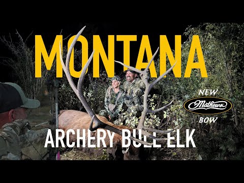 Видео: Охота на гигантского лося из Монтаны с новой дугой Мэтьюса