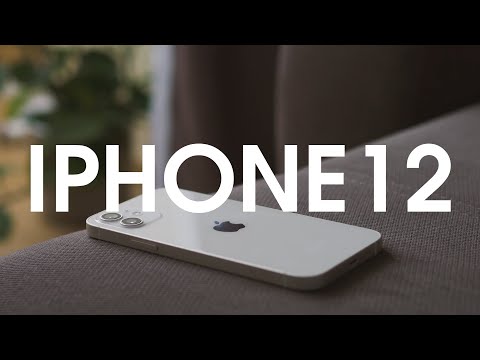 Видео: iPhone 12 - мысли спустя полгода