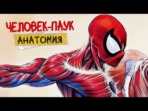 Видео: АНАТОМИЯ ЧЕЛОВЕКА-ПАУКА: Все подробности способностей
