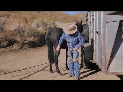 Видео: Советы по изготовлению безопасной веревочной лошади
