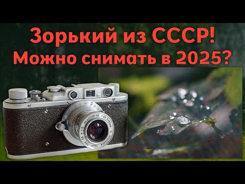 Видео: На Зоркий можно снимать в 2025 году? Обзор фотоаппарата, примеры фото с  Micro 4/3