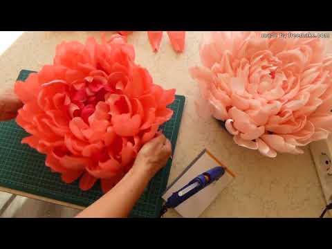 Видео: Серединка гнездышка Часть 2