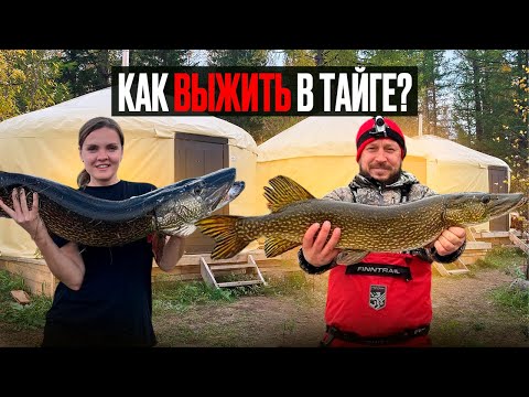 Видео: КАК ВЫЖИТЬ В ТАЙГЕ? / ЮРТЫ СИБИРИ СТРОЯТ ГЛЕМПИНГИ /  Глемпинг в тайге