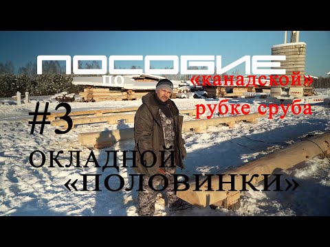Видео: Как построить рубленый дом #3 .Окладной венец.Половинки.