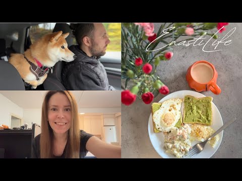 Видео: Влог: СКОРО ПЕРЕЕЗЖАЕМ | Вакцинация собаки и наш любимый салат. 