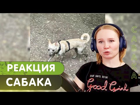 Видео: Реакция на OG Buda - Сабака (A.D.H.D)