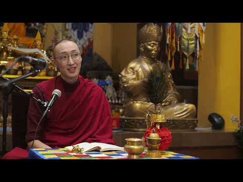 Видео: Йонден Соднам.51 ментальный фактор сознания (Лекция 1) от 06.02.2021г.