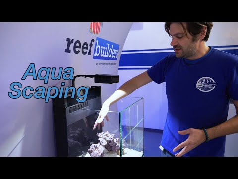 Видео: Как обустроить рифовый аквариум. Часть 2. Принципы акваскейпинга, выравнивание, живые камни