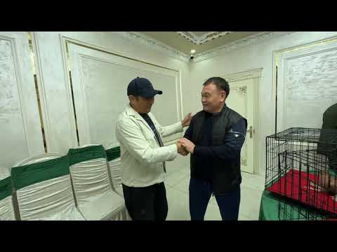 Видео: 2 ноября 2025 г.