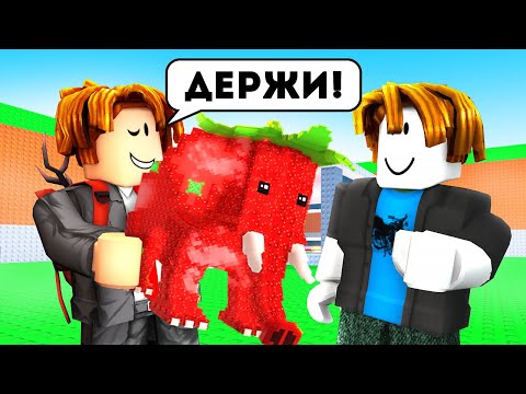 Видео: 😱Я ПРОВЕРИЛ ИГРОКОВ на ЧЕСТНОСТЬ в Steal a Brainrot