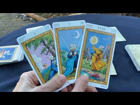 Видео: Установи себе ЗАЩИТУ за 5 минут - просто смотри 🙏 ЧИСТКАЧИСТИМ АУРУ ✨СНИМАЕМ ПОРЧУ, СГЛАЗ, ПРОКЛЯТИЕ