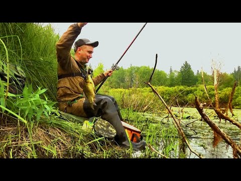 Видео: НАШЁЛ БОБРИНОЕ ОЗЕРО ПОЛНОЕ КАРАСЕЙ!!! ТАКОЙ КЛЁВ Я ЖДАЛ ВСЁ ЛЕТО!!!