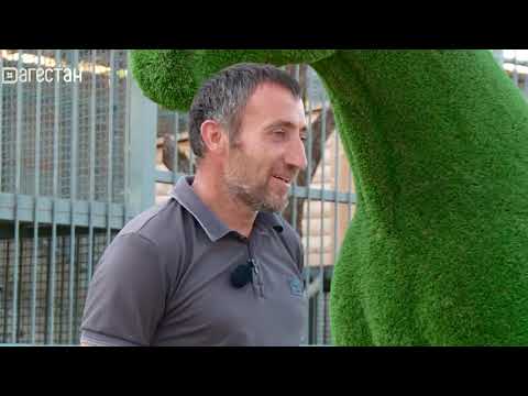 Видео: «Г1аданги, г1амалги, заманги». Традиции и культура