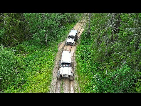 Видео: Вездеход застрял в трясине! Вызываю Батю на помощь! Нашёл Болотоходные траки! Медведь в лесу!