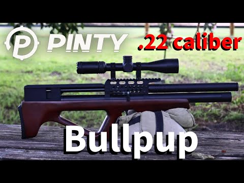 Видео: Возвращаемся к Pinty Bullpup после настройки!