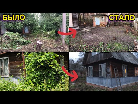 Видео: Уборка на заброшенном участке / удаляю лишнее / перекрыли воду