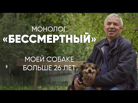 Видео: Это почти мировой рекорд: #монолог хозяина 26-летней собаки