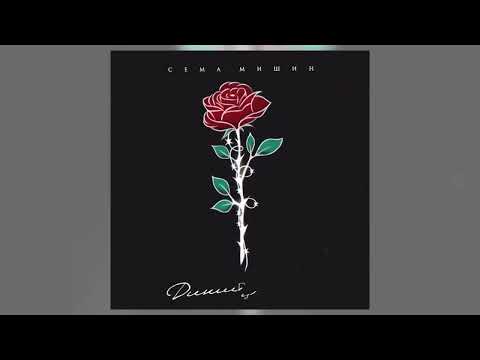 Видео: Сёма Мишин – Дикий цветок (official audio)