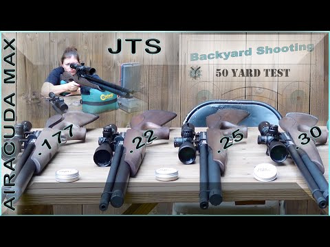 Видео: @JTSAirguns Airacuda Max — разные калибры на одной платформе — @Backyard_ShootingAA