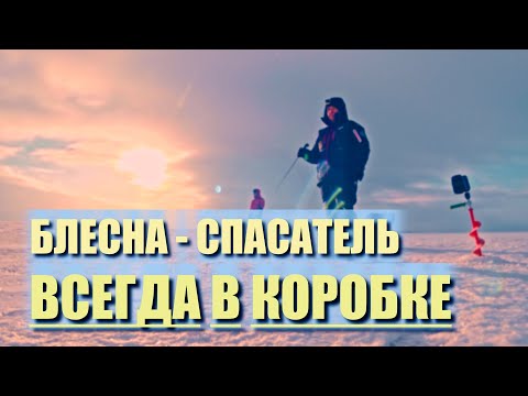 Видео: В БЕШЕНЫЙ ветер ловим СУДАКА. ЭТА блесна СПАСЕТ на КАМСКОМ УСТЬЕ при ловле СУАКА и БЕРША
