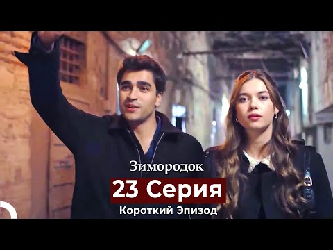 Видео: Зимородок 23 Cерия (Короткий Эпизод) (Русский дубляж)