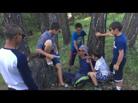 Видео: Чача-мучача