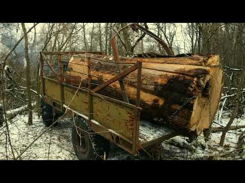 Видео: мега погрузчик
