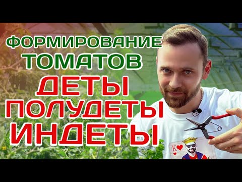 Видео: КАК ФОРМИРОВАТЬ ТОМАТЫ В ОДИН, В ДВА И В ТРИ СТЕБЛЯ| ВСЕ В ОДНОМ ВИДЕО