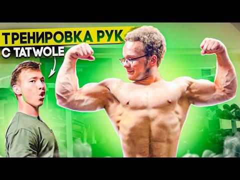 Видео: ТРЕНИРОВКА РУК С TATWOLE (в его случае тренировка веточек)