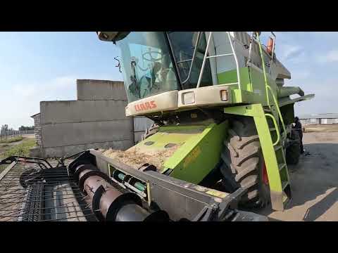Видео: CLAAS MEGA. Едем на калым убирать нут.