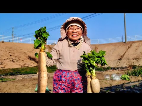 Видео: Повседневная жизнь: Самодостаточная жизнь 81-летней бабушки