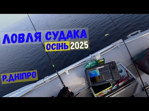 Видео: ловля судака #спінінг #судак2025 #судак