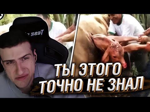 Видео: Hellyeahplay смотрит: Готов Поспорить, Ты Не Знал Этого #5