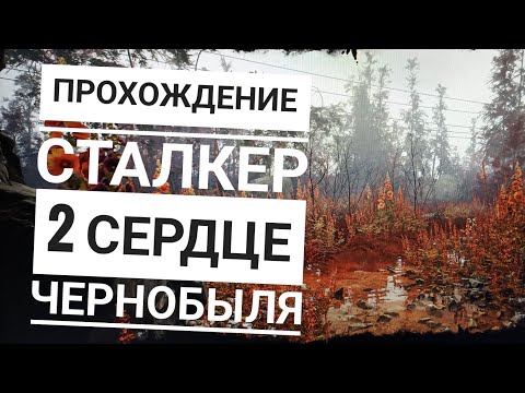 Видео: Балждежное прохождение Лучшей игры 2024 года - Stalker 2- Без Комментариев На ПК
