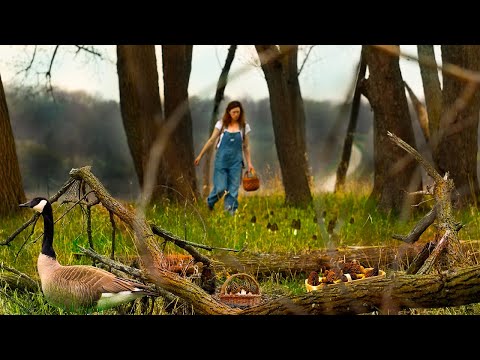 Видео: Охота на сморчки 🍄 Крем-суп из сморчков 🌱 ASMR Кулинария