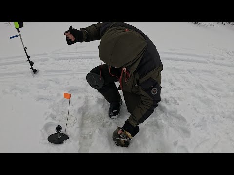 Видео: МАЙСКАЯ ЗИМНЯЯ РЫБАЛКА / MAY WINTER FISHING