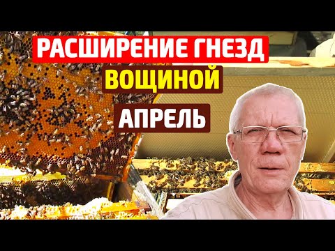 Видео: Работа на пасеке весной Весеннее развитие пчел.  Расширение гнезда пчел