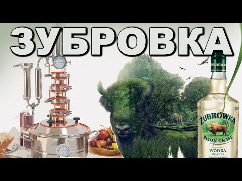 Видео: Зубровка. Рецепт из СССР